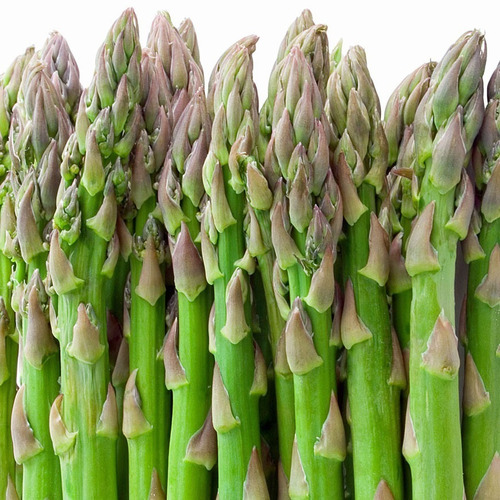 20 Semillas De Asparagus Officinalis- Esparrago Codigo 496