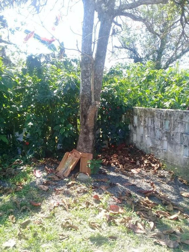 Imagem 9 de 9 de Casa No Jardim Belas Artes - Ca0326