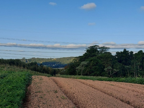 Imagem 14 de 20 de Vendo Terreno Com Otima Topografia / 15o