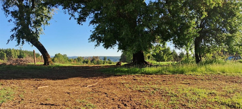Terreno Construccion En Venta En San Carlos