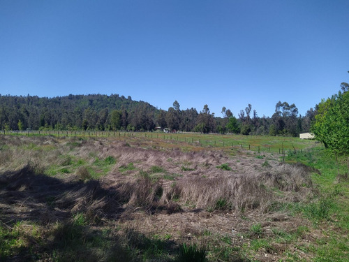 Hermosa Parcela En Venta En Gorbea