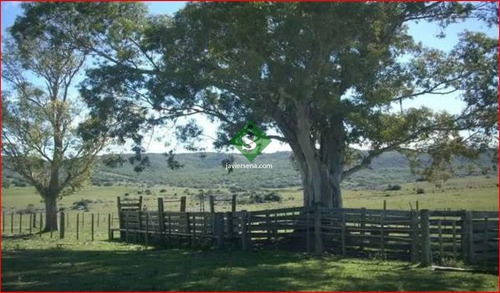 Venta De Campo En Lavalleja, Zona Del Penitente 528 Hectareas, Con Arroyo.- Ref: 168269