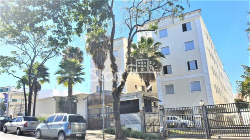 Imagem 1 de 26 de Apartamento À Venda Em Vila Industrial - Ap007288
