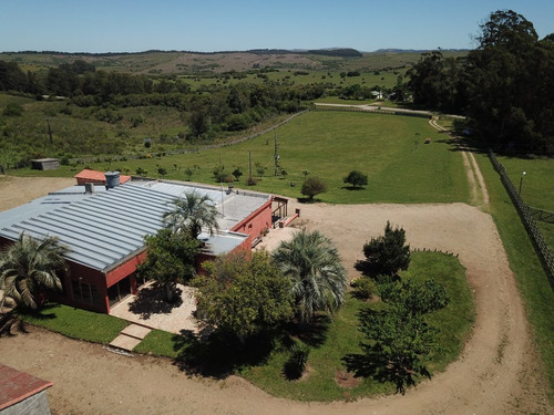 Venta Bucólica Chacra Apto Para Olivos O Vid En Rocha, Ruta 15 [código 391rg]