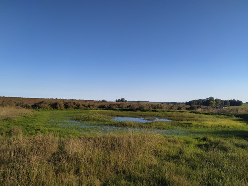 Venta Campo 9ha Empalme Ruta 9 Y Ruta 8