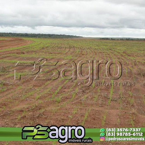 Imagem 2 de 7 de Fazenda À Venda, 980000 M² Por R$ 999.999.999,99 - Novo Horizonte - Paranatinga/mt - Fa0230