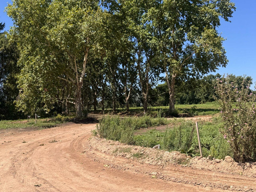 Venta - Lote Interno - Estancia Carabassa | Vco Propiedades