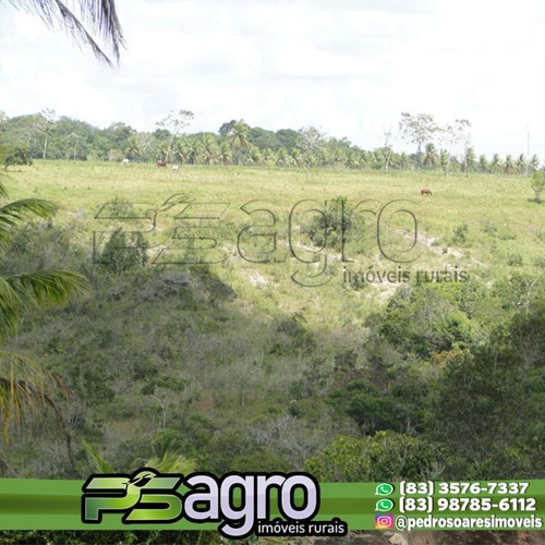 Imagem 15 de 18 de ( Oportunidade )fazenda Na Região De Pedras De Fogo, C/ 80ha - Fa0077