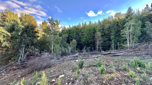 Parcela En Venta En Villarrica