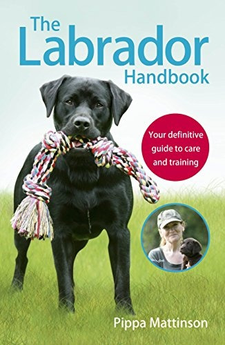 El Manual Labrador Su Guia Definitiva Para El Cuidado Y La F