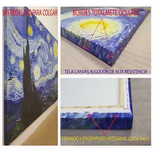 Cuadro Moderno Canvas Craneo Colors 100x100cm