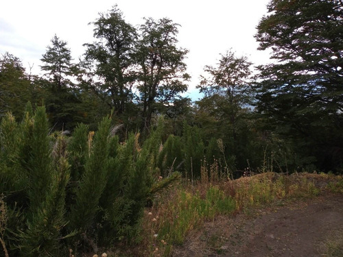 Imagen 6 de 9 de Tu Lugar En La Montaña / Vistas Soñadas / Entorno Inigualable