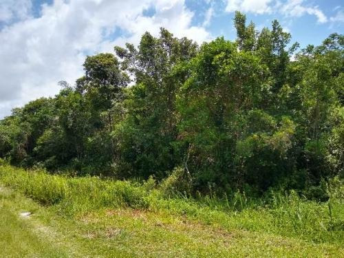 Terreno Lado Serra Com Escritura E Área De 415m² 7734