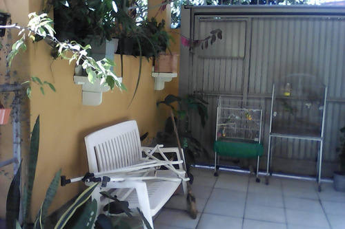 Imagem 4 de 8 de Casa - Partenon - Ref: 409355 - V-pj4461