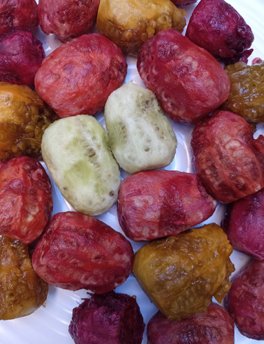 500 Semillas Nopal Tunero Mas De 7 Variedades, Nv
