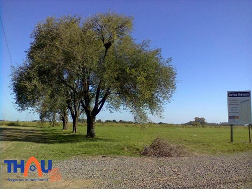 Imagen 2 de 6 de Loteo Newen, Terrenos De 250 M2 A 330 M2 Aproximados Exclusivos Para Viviendas.