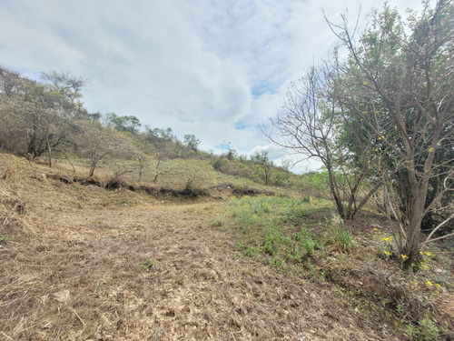 Terreno En Venta Club De Campo Vertientes 2.430m2