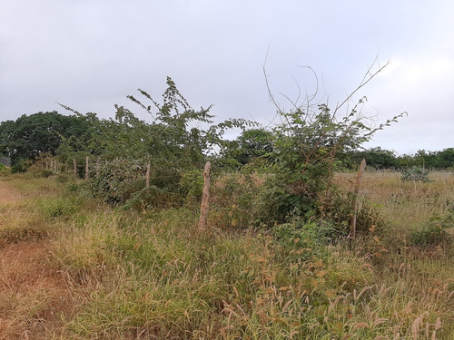Imagem 2 de 10 de Propiedade Para Criar E Para Agricultura