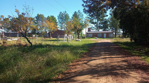 Imagen 3 de 12 de Venta Lote - Barrio Don Pedro Gualeguaychu