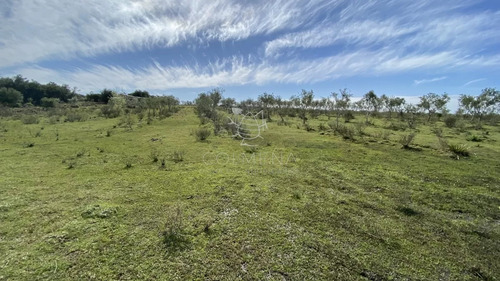 Chacras De 5 Has En Paraje Las Cañas !!!