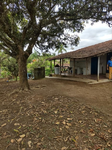 Imagem 28 de 30 de Chácara Para Venda - Figueira Grande, Santa Branca - 10000m² - 2579