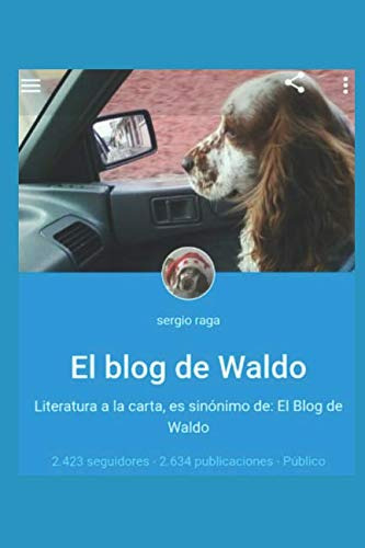 El Blog De Waldo