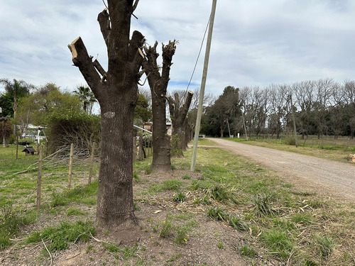 Terreno Lote En Venta En Lima, Zárate, G.b.a. Zona Norte