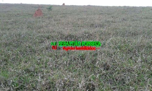 Imagem 7 de 15 de Fazenda Em Santa Branca 125 Alqueires - 805