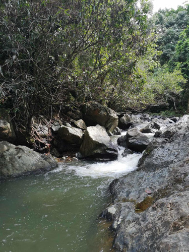 Venta De Terrenos De 70 Y 98 Tareas De Tierra.