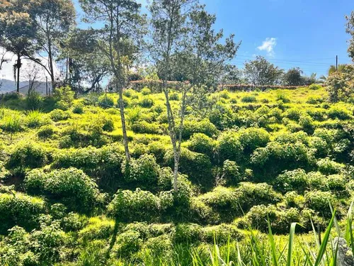 Lindo Lote En Venta Con Excelente Ubicación -vereda Cabeceras Rionegro