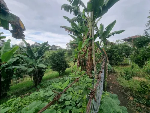 Finca Para La Venta Entre Quimbaya Y Filandia Con Excelenteubicación