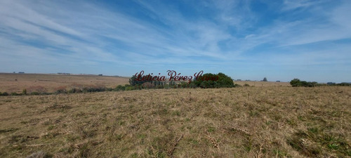 Imagen 11 de 23 de Venta De Chacra 19 Has En San Carlos, Maldonado