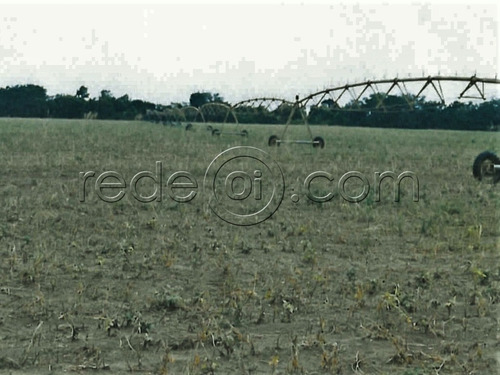 Imagem 1 de 9 de Fazenda De 2.400,99 Alqueires Goianos (usina De Álcool Desativada) - Arraias-to - Fa00002 - 67615479