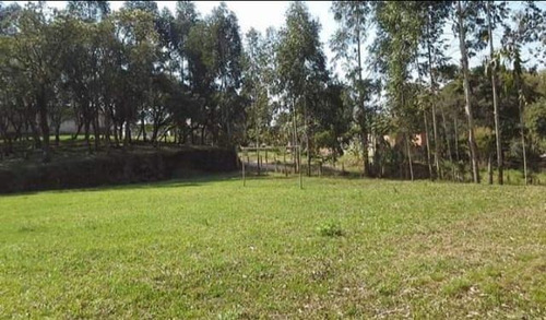 Imagem 9 de 15 de Chácara Para Venda Em Quitandinha, Zona Rural - Qui3300_1-2030544