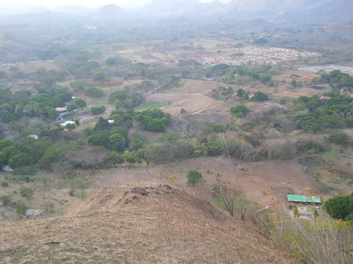 Imagen 3 de 14 de Excelente Finca Ubicada En San Sebastian. Estado Aragua
