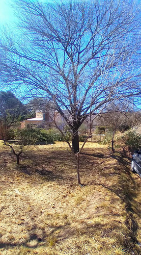 Villa Giardino, Lote En Barrio La Cañada