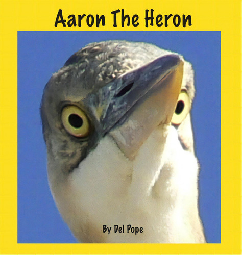 Aaron The Heron, De Pope, Del., Vol. 1. Editorial Lightning Source Inc, Tapa Dura En Inglés