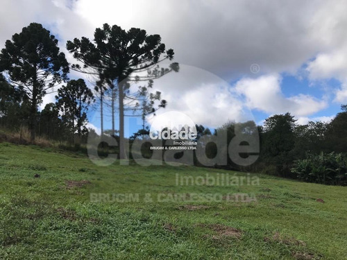 Imagem 9 de 17 de Imóvel Rural À Venda, 2 Quartos, 2 Vagas, Santa Felicidade - Cascavel/pr - 12452