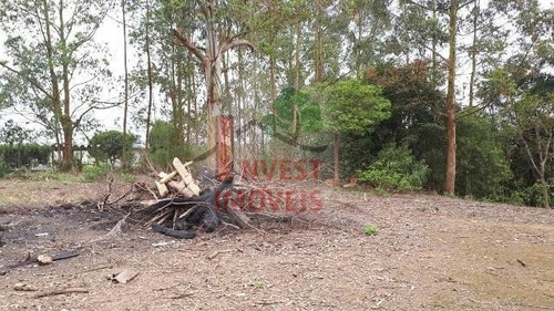 Imagem 2 de 15 de Terreno - Ref: 2926 - V-2926