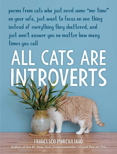 Libro All Cats Are Introverts Nuevo