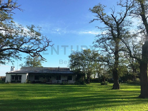 Imagen 5 de 19 de Campo Agricola Ganadero En Las Flores, Sobre Ruta 3, Con Casa.