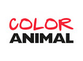 Color Animal