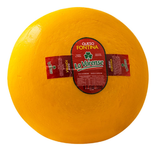 Queso Fontina La Varense