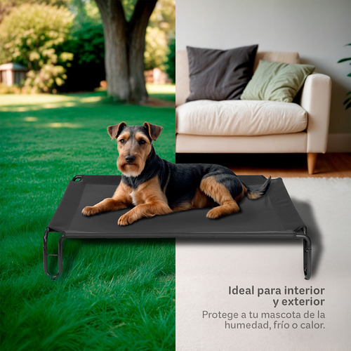 Cama Elevada para Perro con Malla Transpirable ideal en Calor, Catre de Mascotas Esquimal Pets. Negro, 90x65x20cm