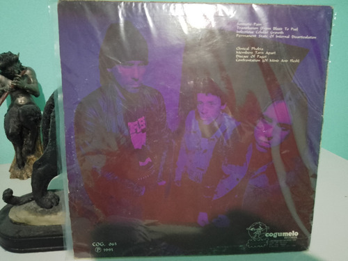 Lp Endoparasites Inconoclast Of Flesh , Sarcófago (Usado)