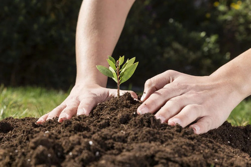Terra Adubada Vegetal - Saco 5kg Composto Orgânico 100% Natural P/ Jardim Flores Frutas - Ecogarden Jardinagem