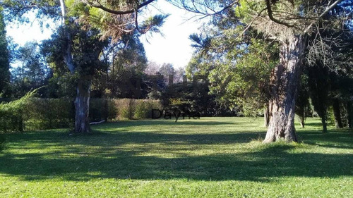 Imagen 3 de 4 de Venta De Lote En Tristan Suarez