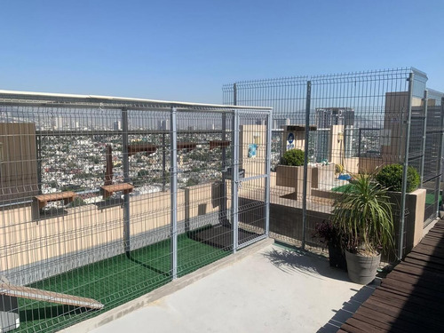 Departamento En Renta En Semillero Matamoros En Monterrey