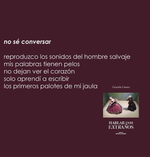 Imagen 2 de 2 de Hablar Con Extraños - Graciela Corrao - Ed. Mono Armado