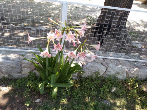 Imagen 4 de 13 de Venta De Casa En Alta Gracia! Con Escritura!
